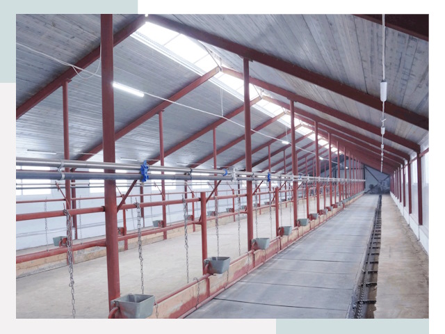 Строительство коровников в Котласе от 622 руб.