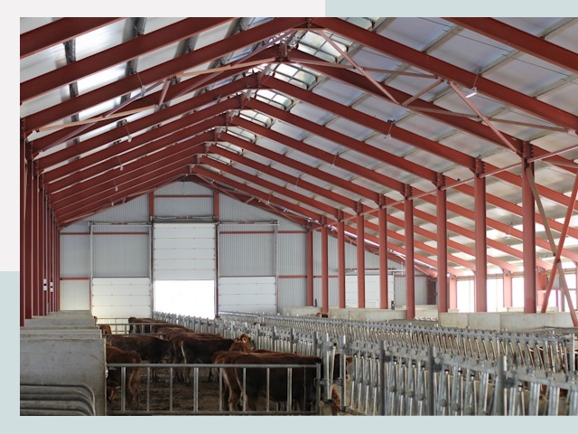 Строительство коровников в Котласе