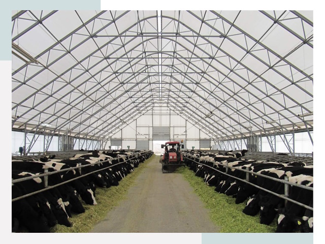 Тентовые коровники в Котласе от 622 руб. - Надежно и доступно